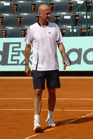 Andrei Medvedev